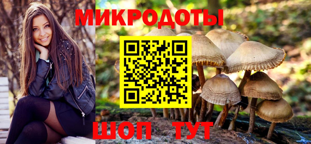 где продают наркотики  Вход с VPN  Каменка  Галлюциногенные грибы Cubensis  Псилоцибиновые грибы прущие грибы 